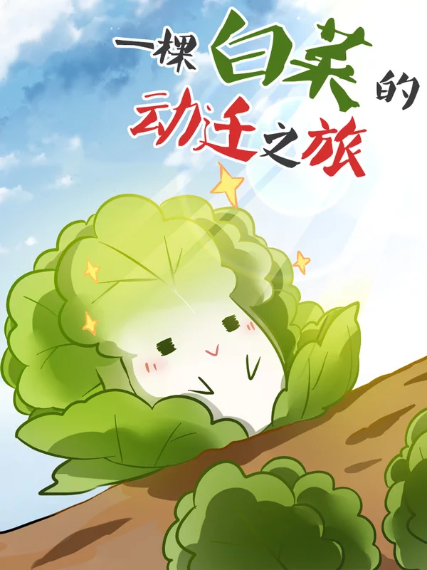 一棵白菜的动迁之旅