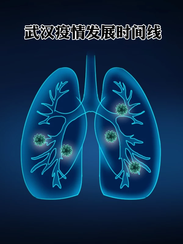 武汉疫情发展时间线