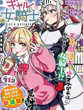 辣妹与女骑士