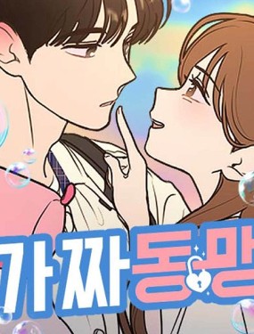 虚假同盟